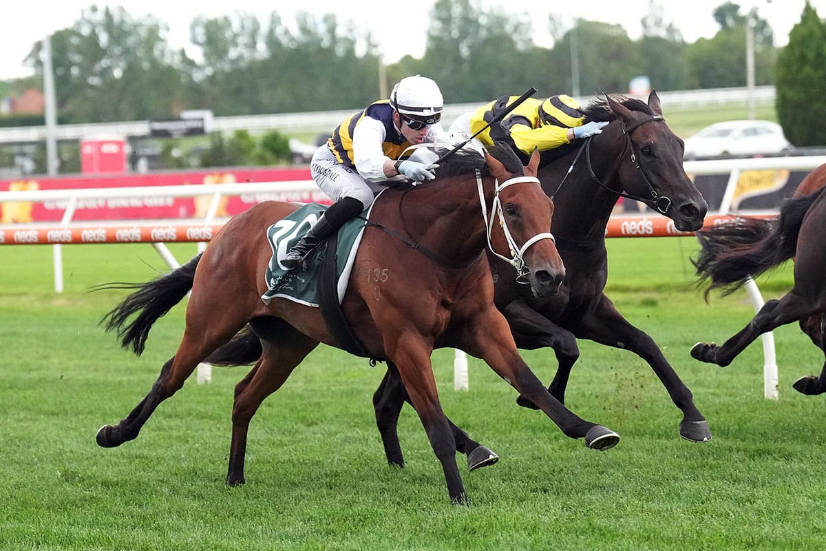 Interlinked on Derby path