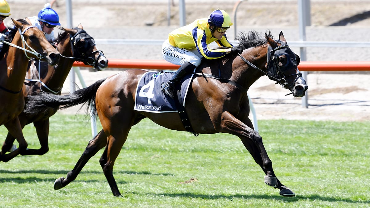 Jon Snow on the board