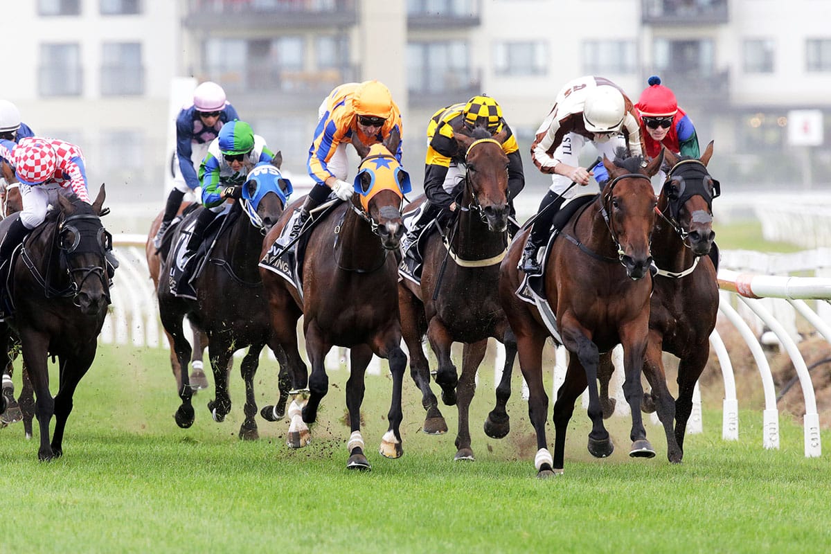 Legarto too good in Herbie Dyke Stakes