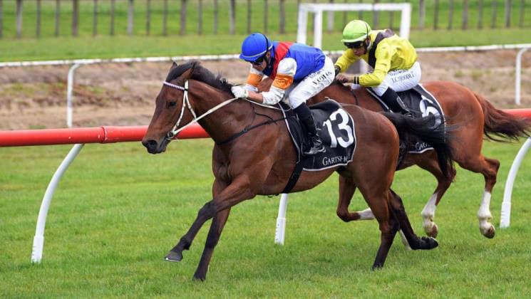 Lord Weyburn on trial for Derby run