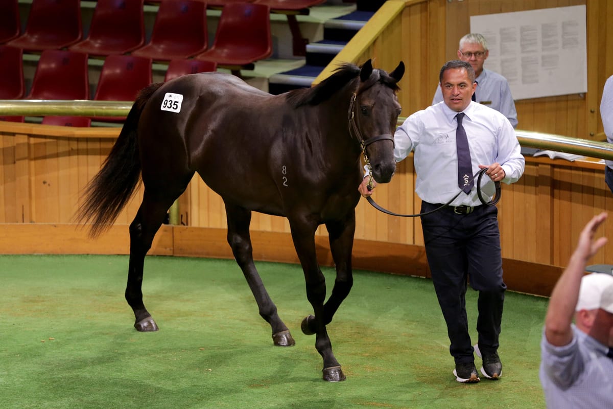 Alexanders secure Ace High colt