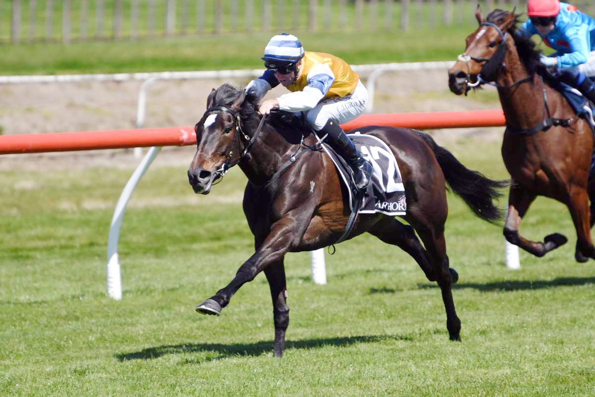 Mary Shan looking to turn the tables at Te Rapa