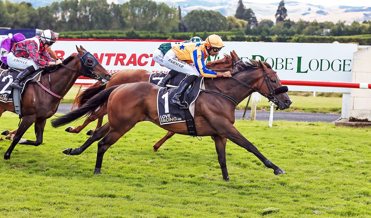 Perfect Scenario goes back-to-back in Wingatui feature