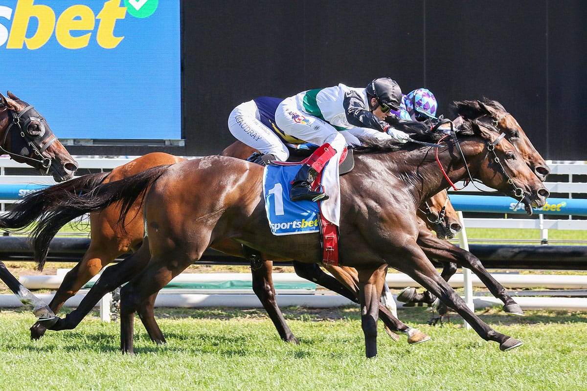 Fifth Group One for remarkable Mr Brightside