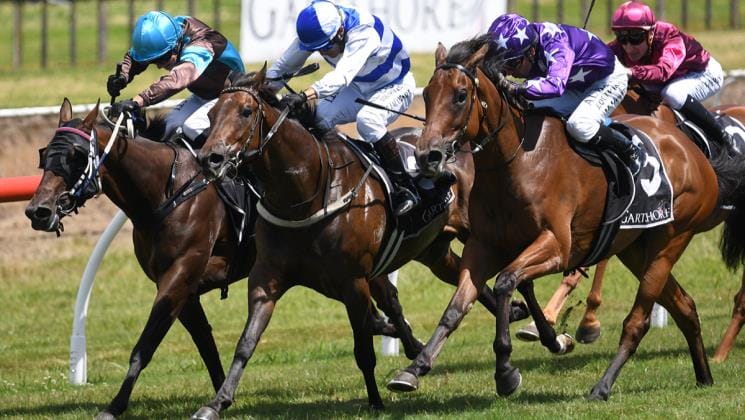 Doubles for Ballymore and Pencarrow at Tauranga