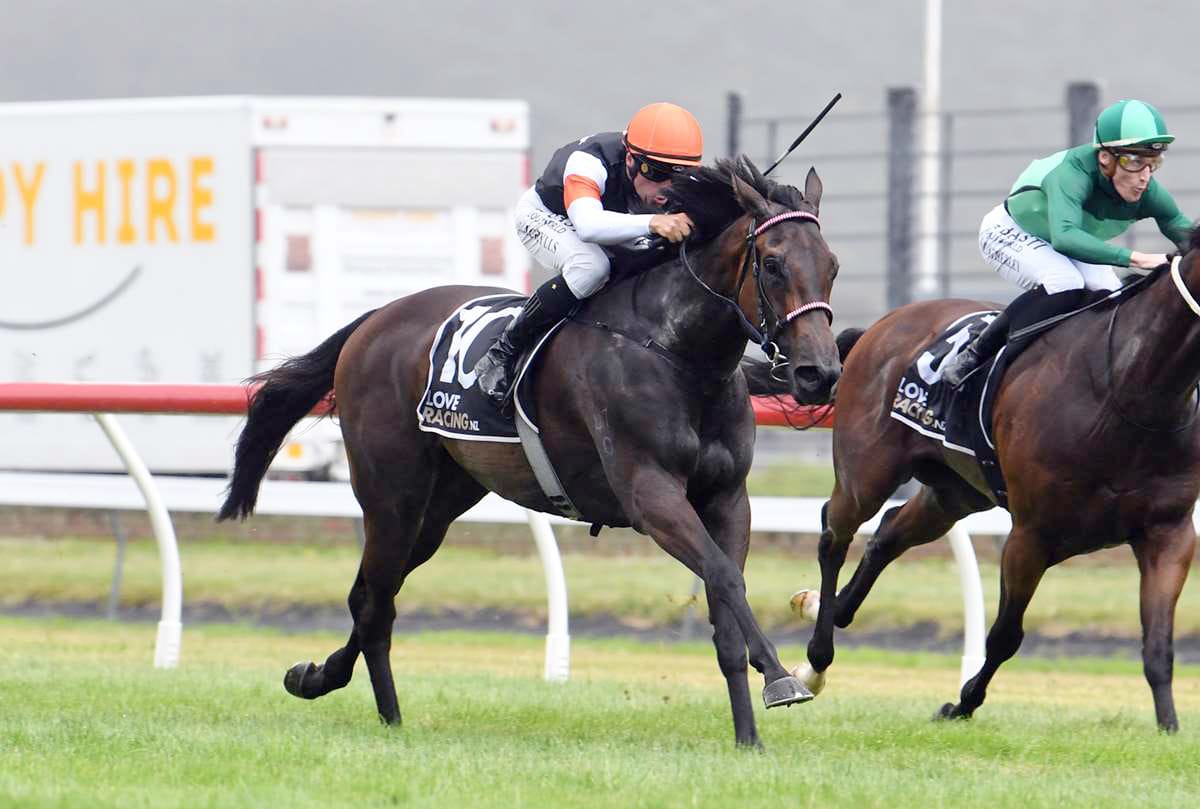 No Rain Ever chasing southern spoils