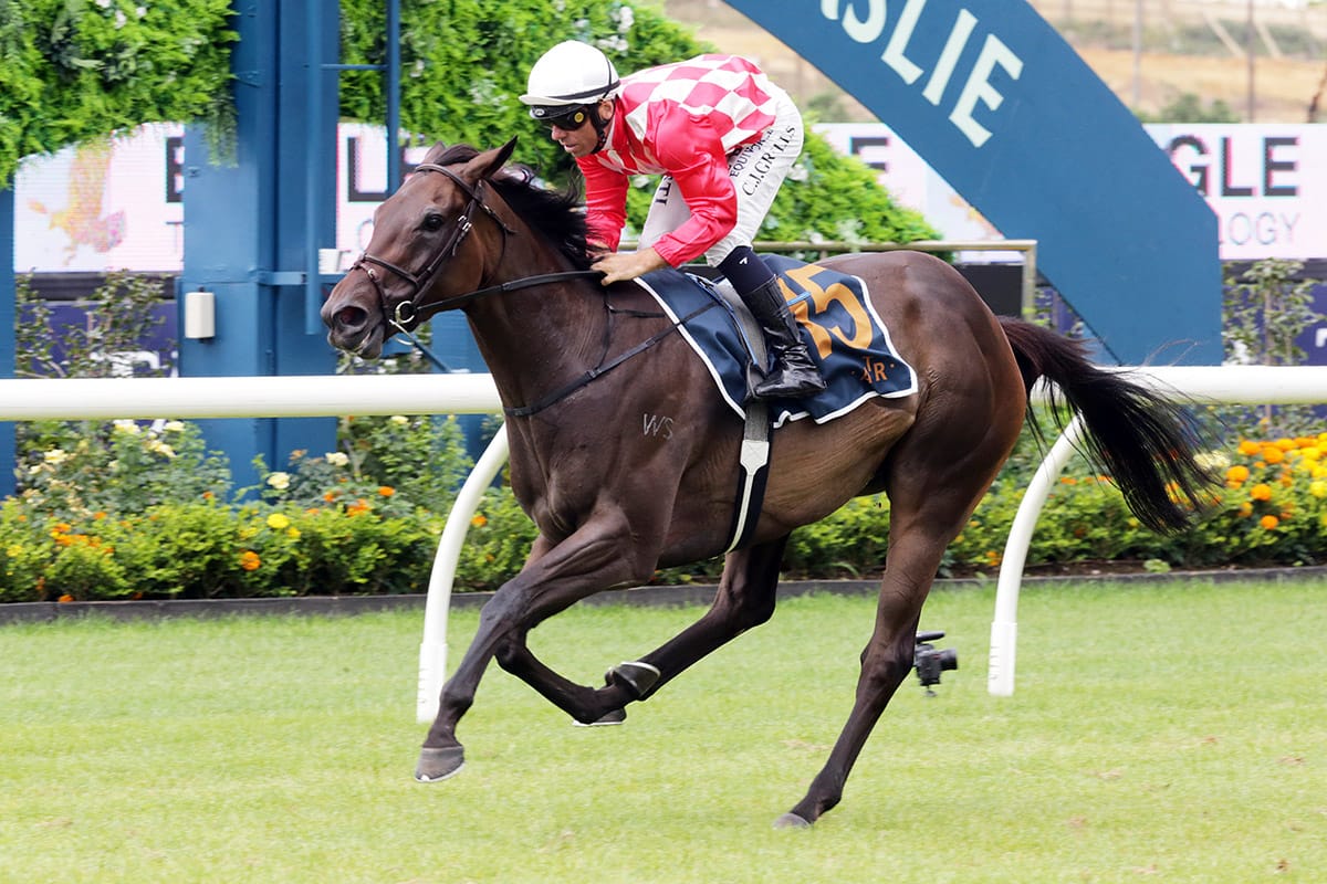 Orchestral tuned up for Toorak