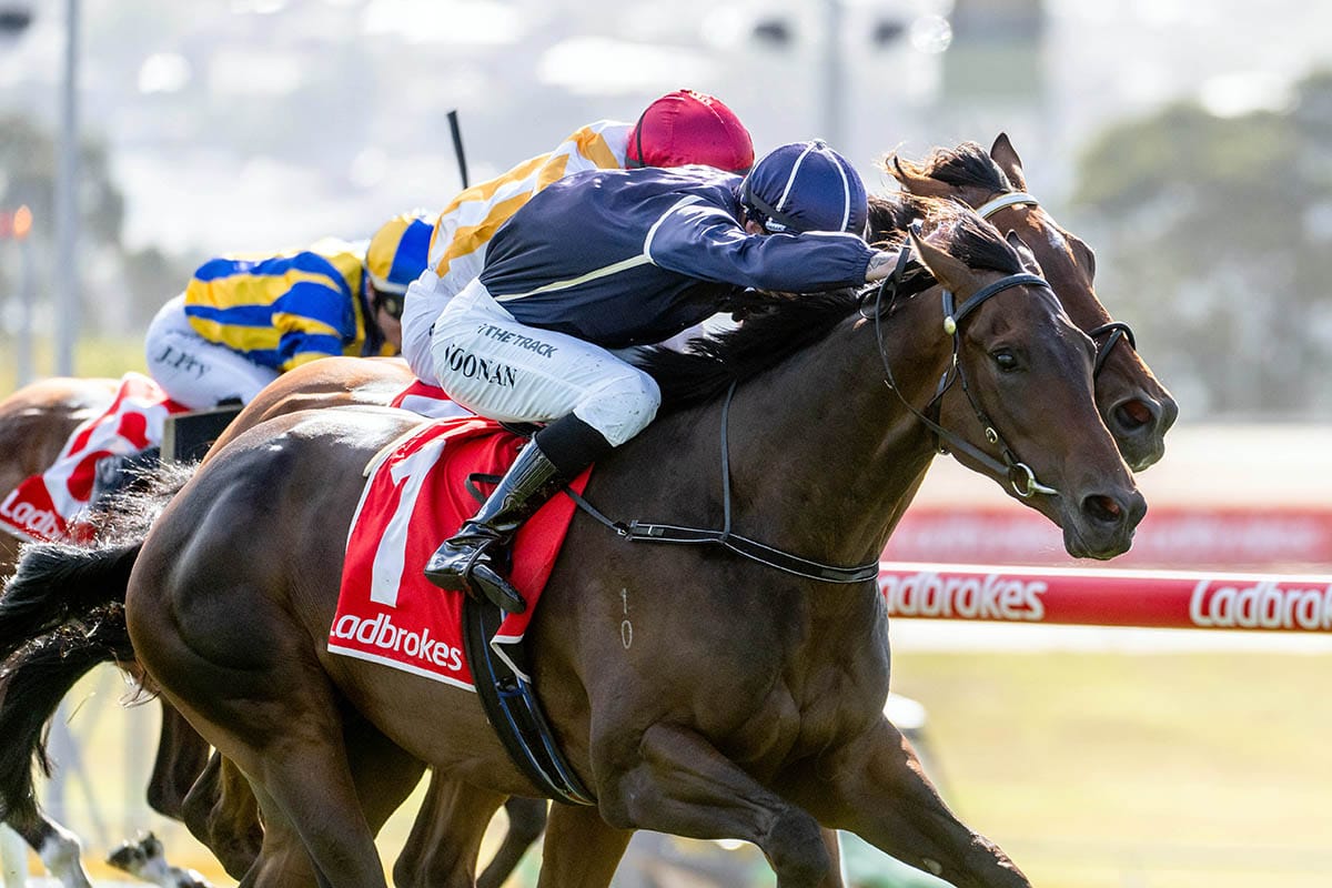 Bold Soul lands Tasmanian Derby