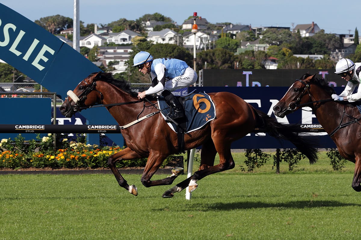 Less is more approach for Renegade Rebel