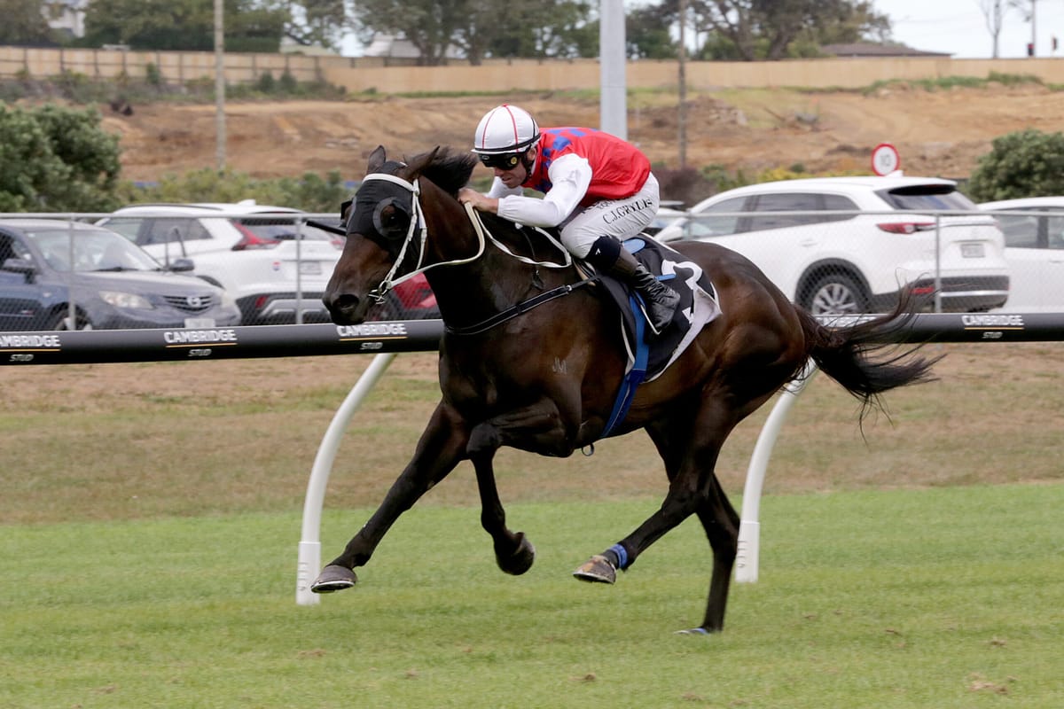 Sailor Jack holds black-type hopes of Fannin/Schofer stable