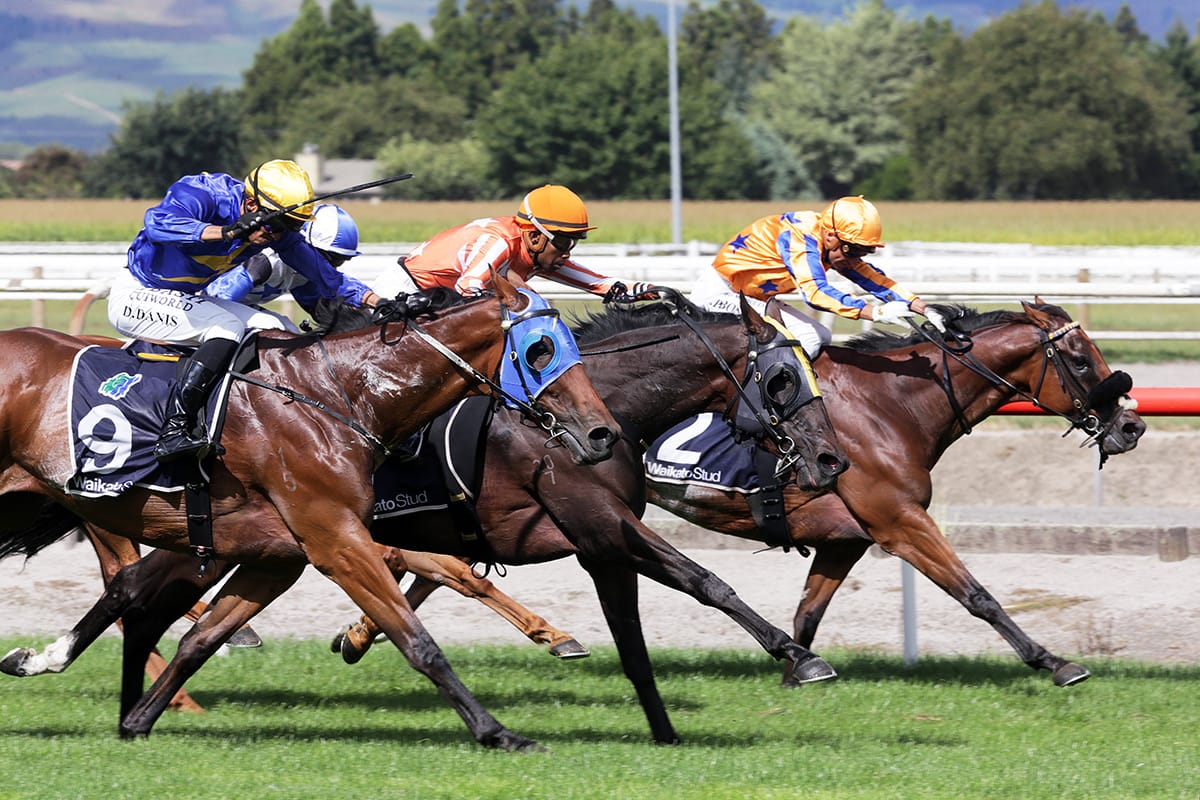 Saint Alice prevails in Kaimai Stakes