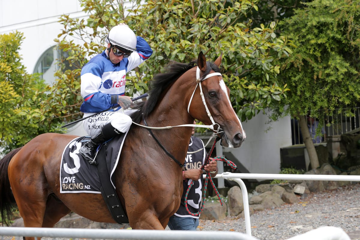 Skyman still in line for summer bonus