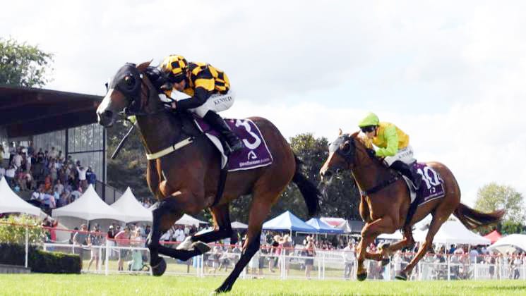 Cups future for Snazzytavi