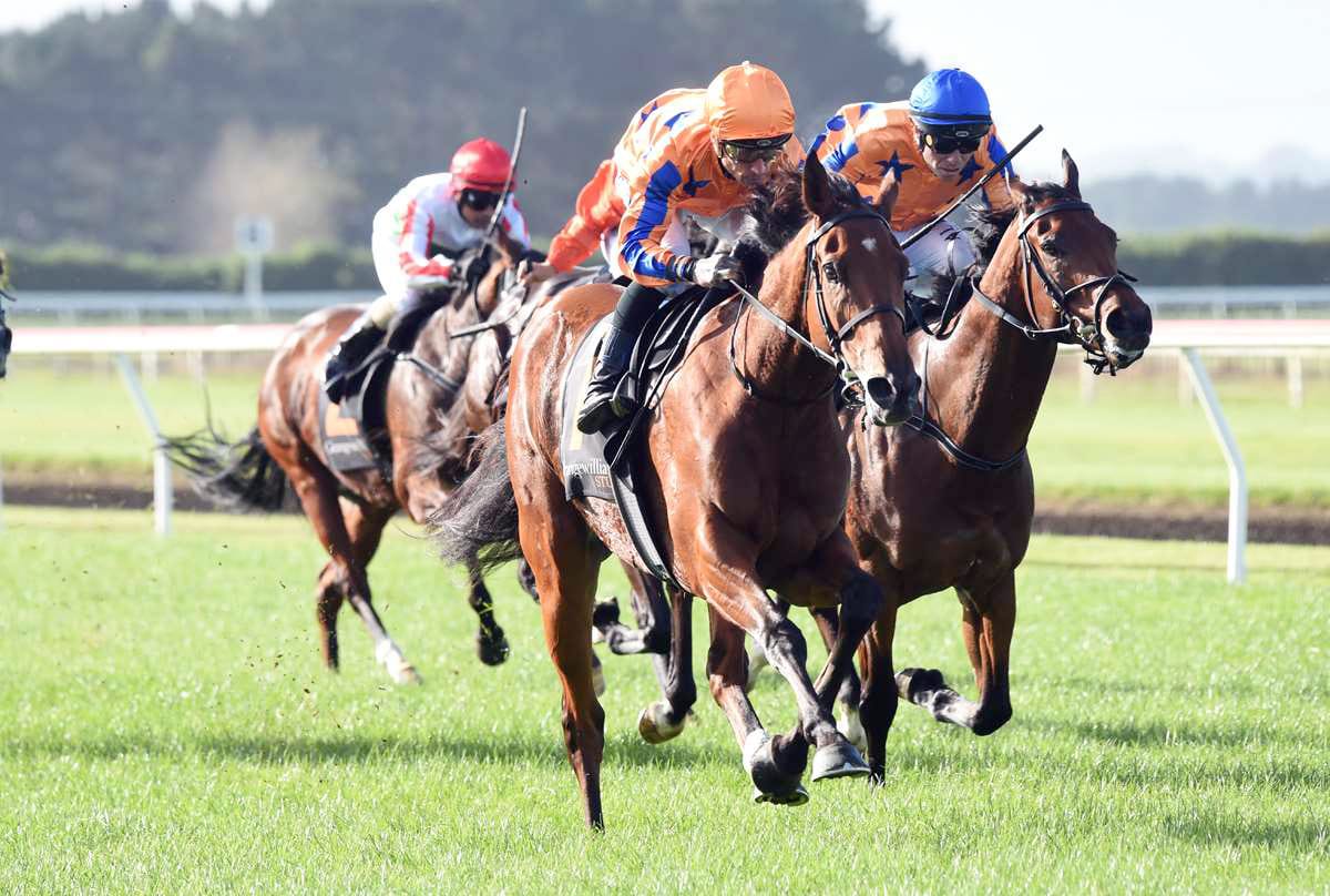 Te Akau hold strong Riccarton hand