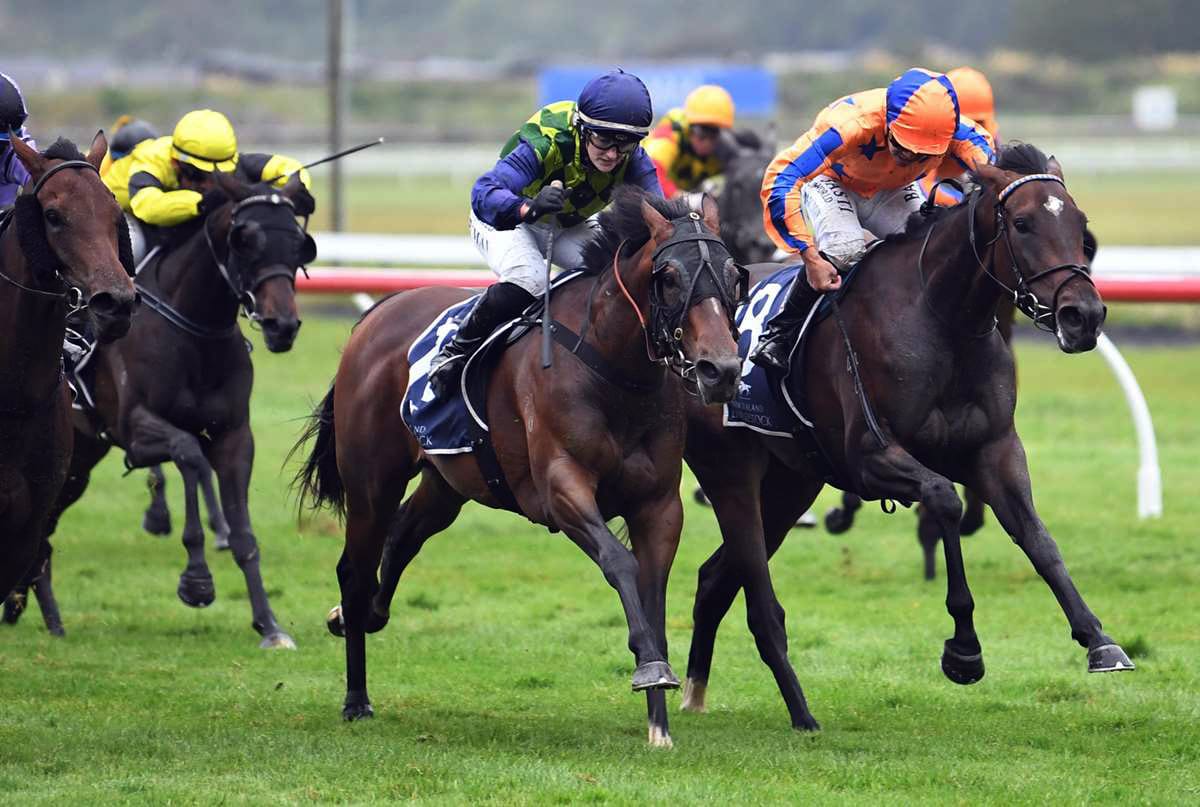 Autridge fillies Bangon for Ellerslie meeting