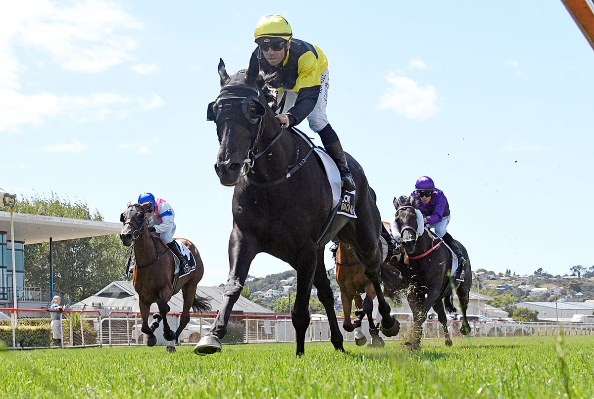 The Underbelly makes a bold statement