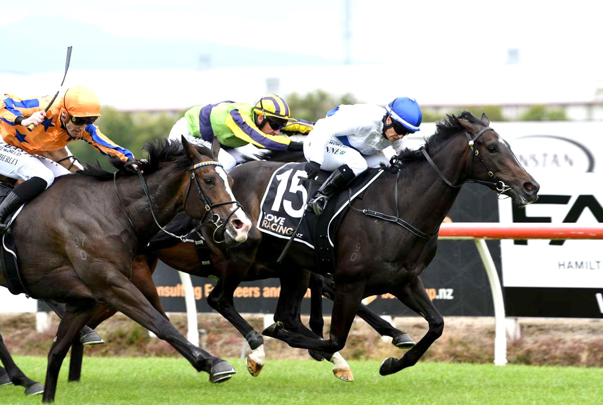 Champion Scandinavian jockey making most of New Zealand stint