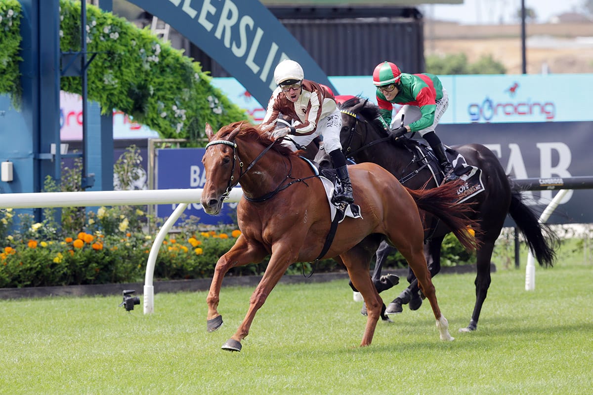 Tendon Injury puts cloud over future of Adam I Am