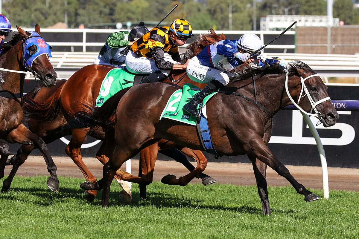 Australian Cup focus for Blamey winner Atishu