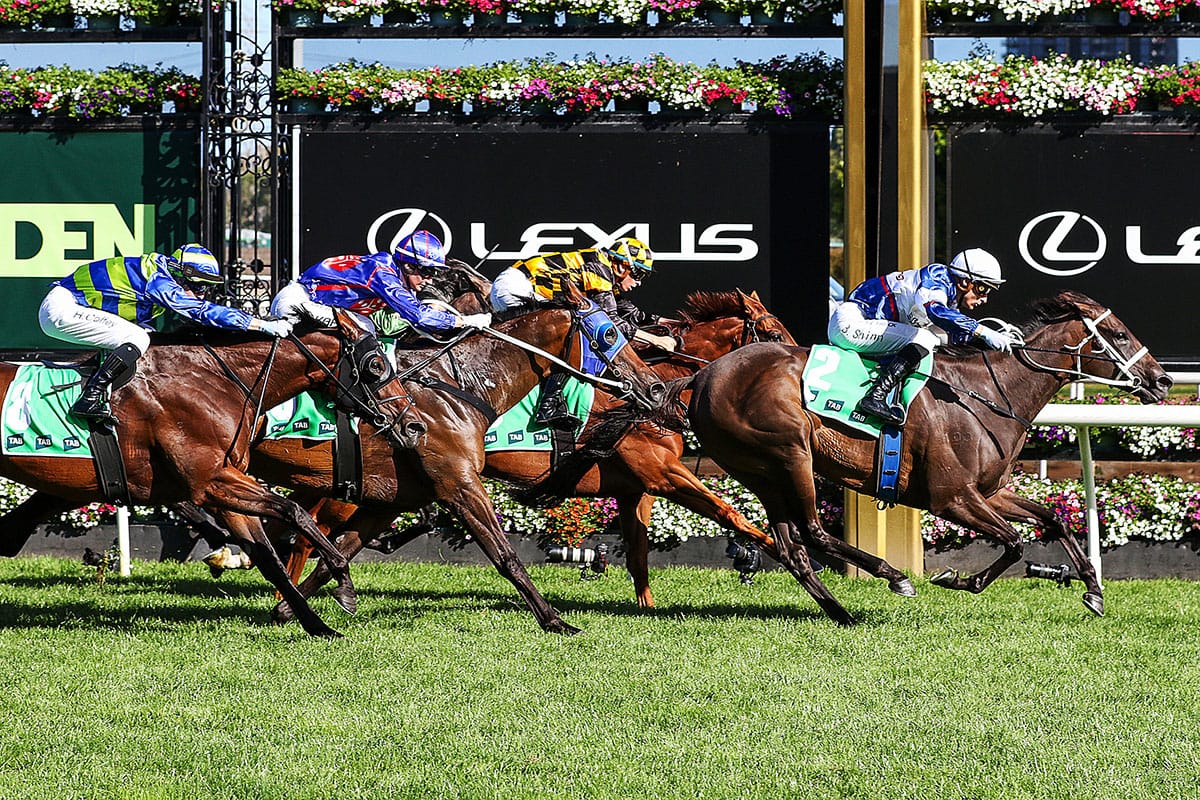 Top families continue to perform for Stud