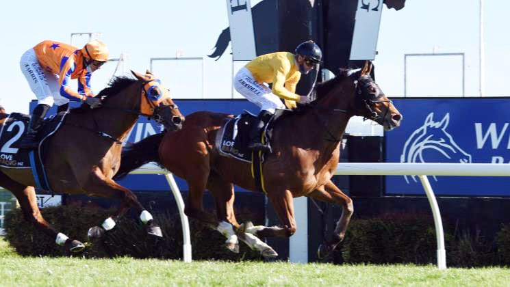 Curtains called on Callsign Mav’s racing career