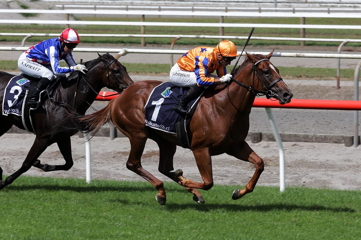 Te Akau filly up for Group One challenge