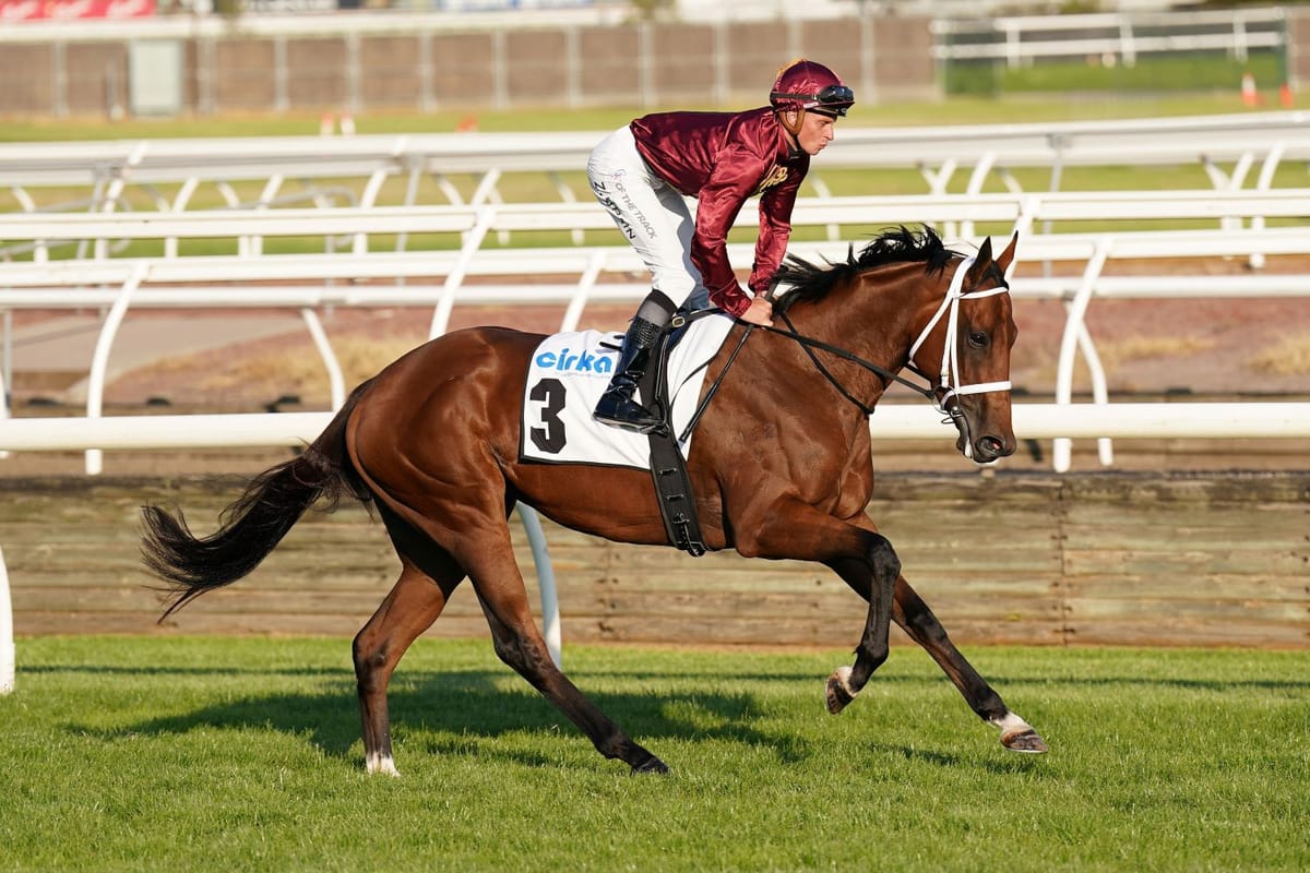 Stokes locks in Star's spring targets