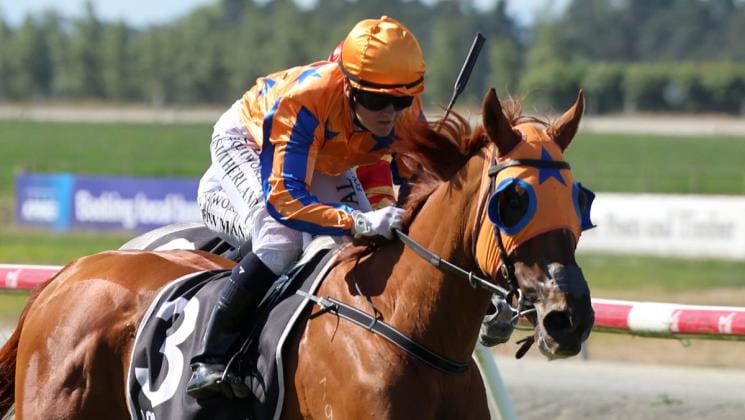 Te Akau on southern stakes race hunt