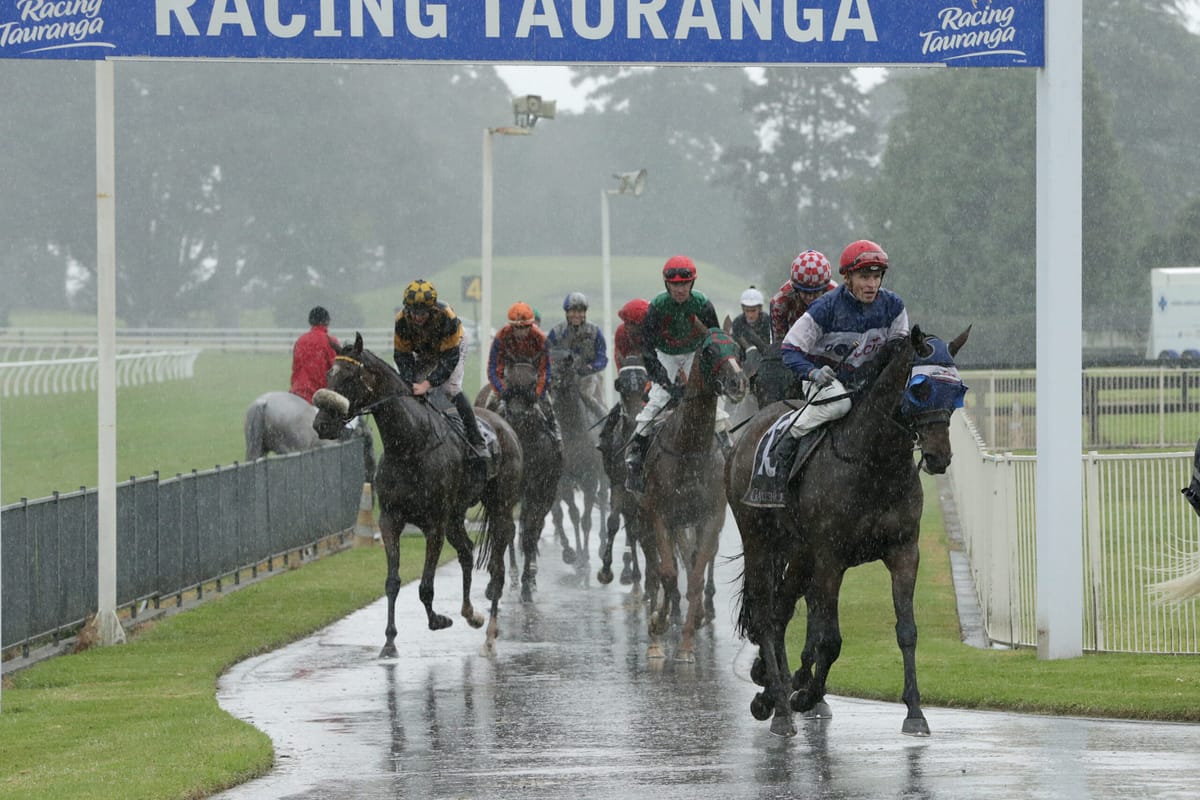 Diss Is Dramatic boosts broodmare value