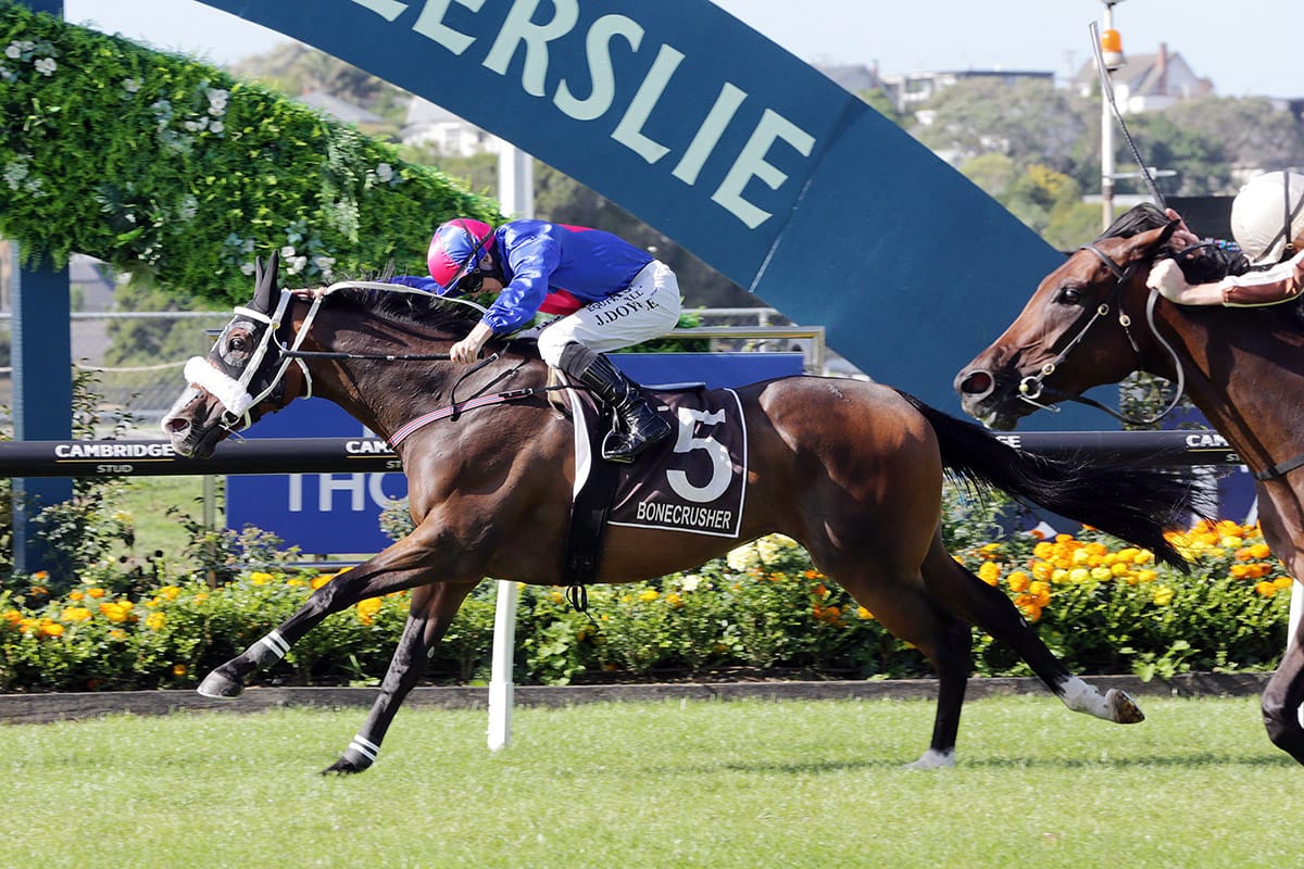 El Vencedor causes upset in Bonecrusher Stakes