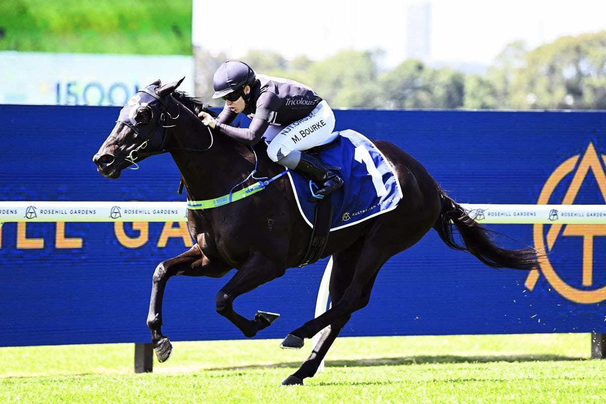 Elettrica turns her fortunes around