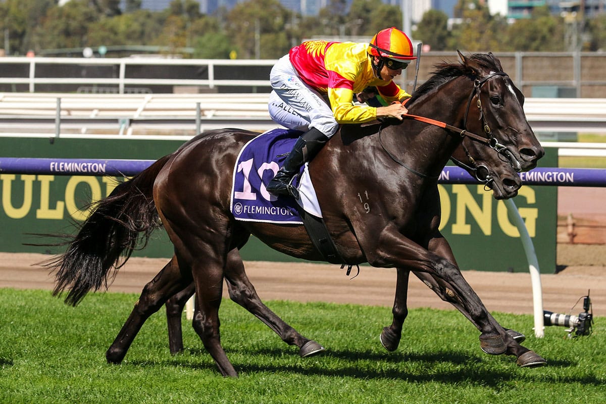 Deserved stakes win for Eternal Flame