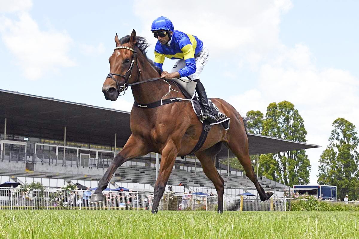 Youth takes on experience for Wexford Stables