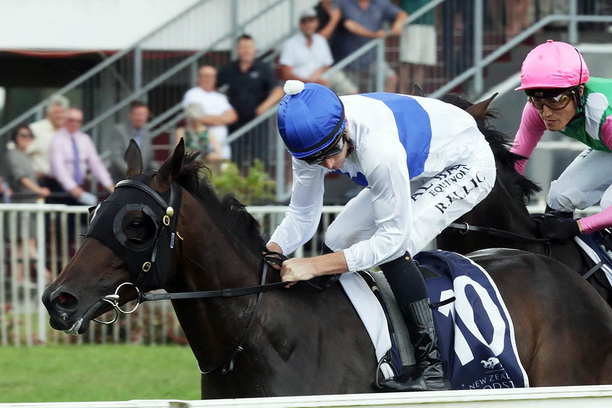 Harlow Rocks heads Pike’s Taupo chances