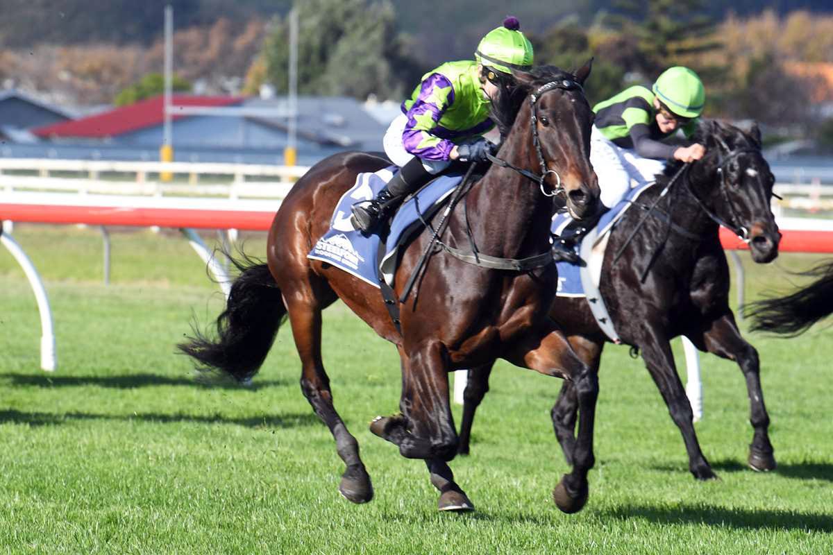 Hi Yo Sass Bomb out for breakthrough stakes win