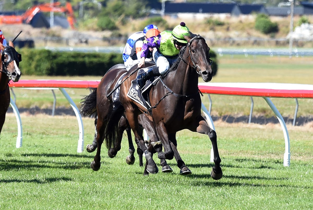 Cuddle Stakes delivers milestones for connections