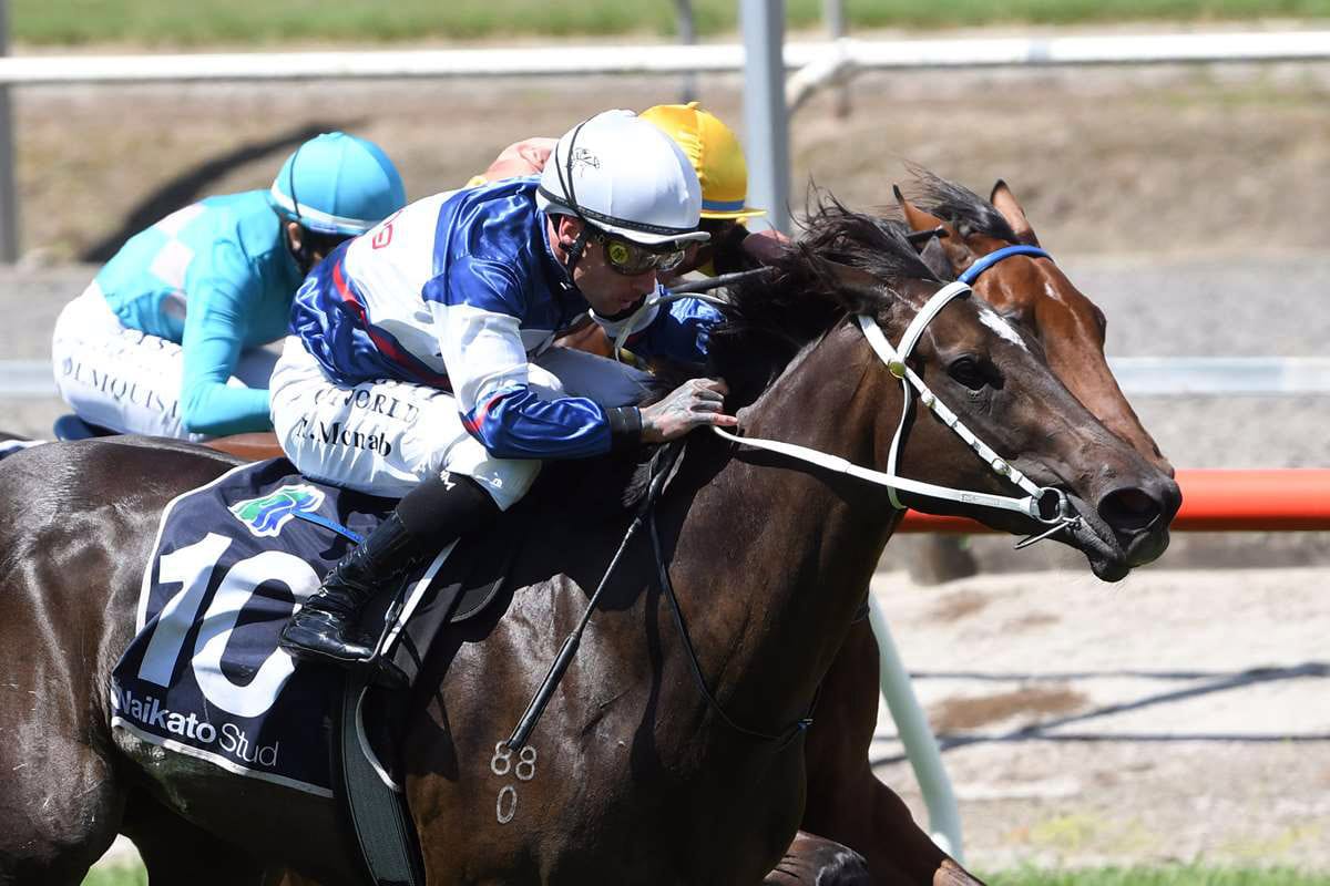 Marsh duo up for Pearl bonus