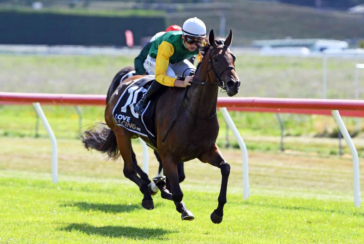 Irish Legacy looking to continue stellar run for Kingsclere