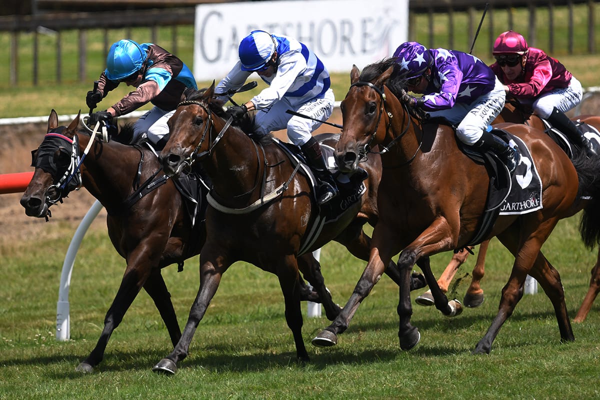 Naxos looking for repeat performance