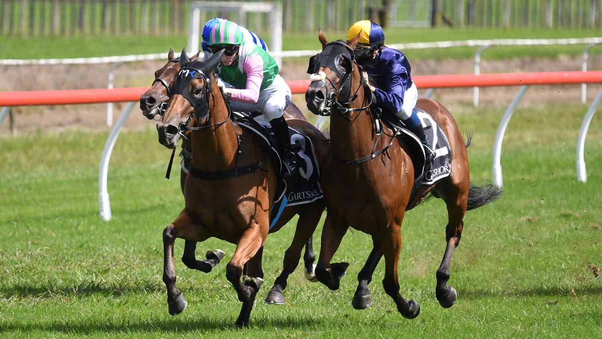 Valentine wins protest at Tauranga