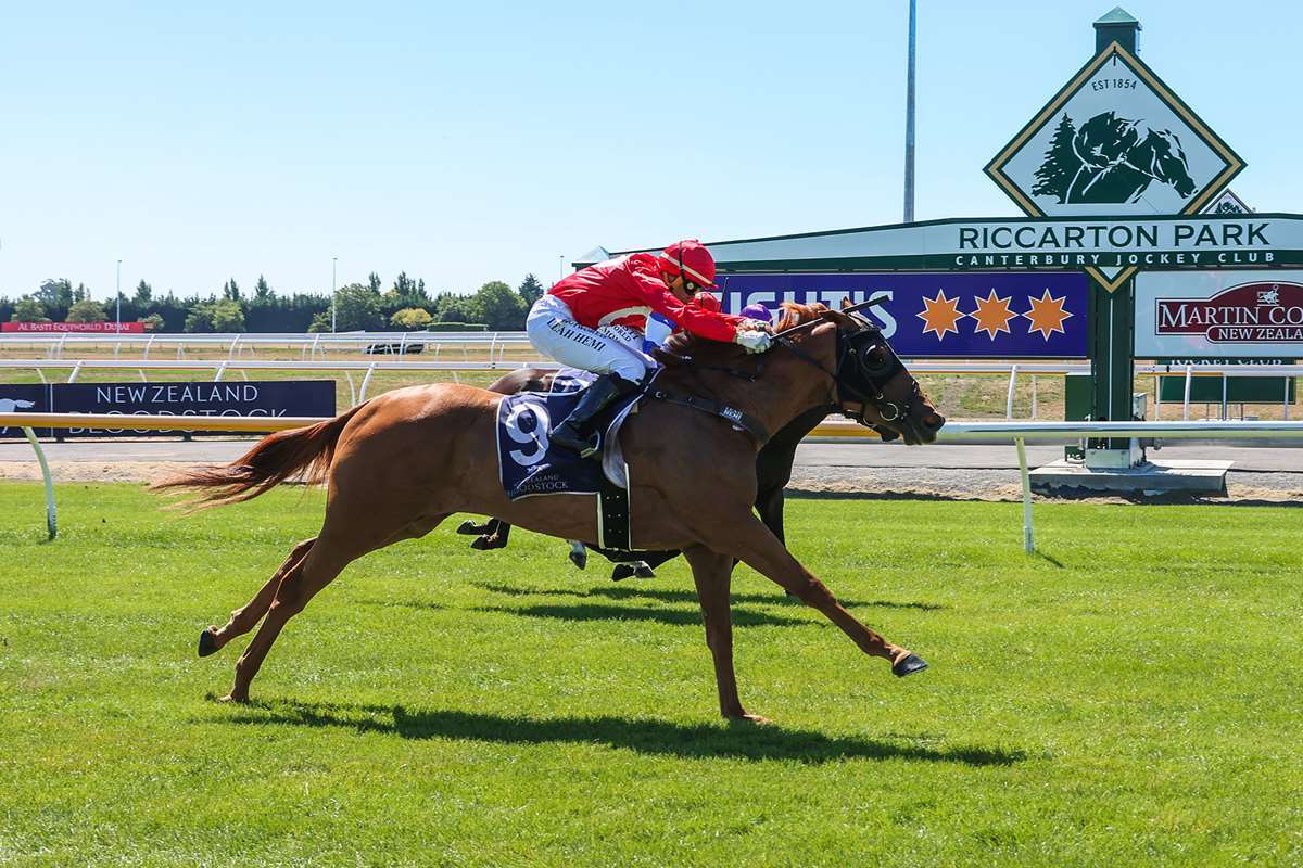 Rae runners looking to shine at Ashburton