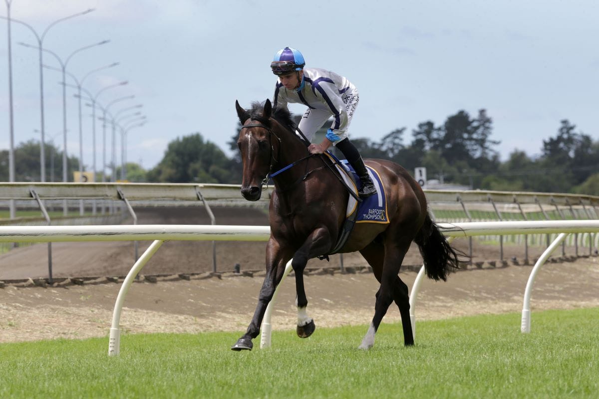 Lupo Solitario sold to Hong Kong interests