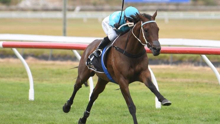 Reinvigorated Mahoe looking to extend winning tally