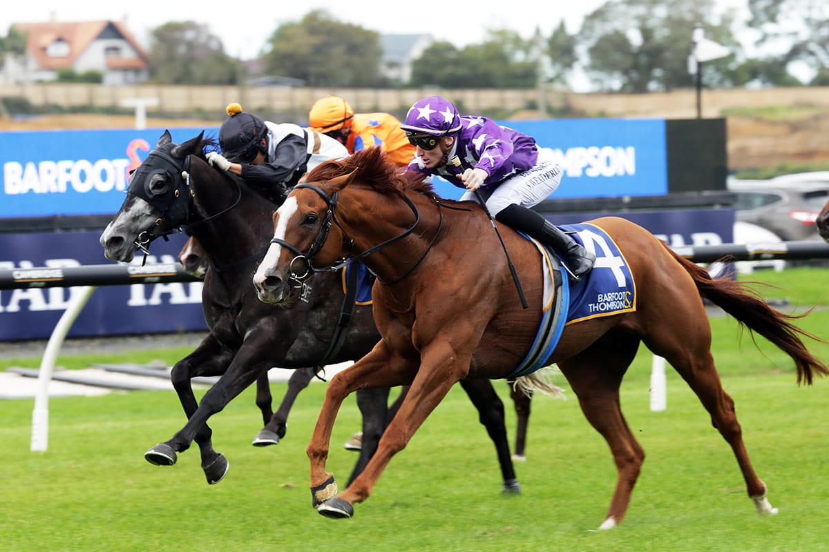 Track conditions to dictate Mahrajaan plan