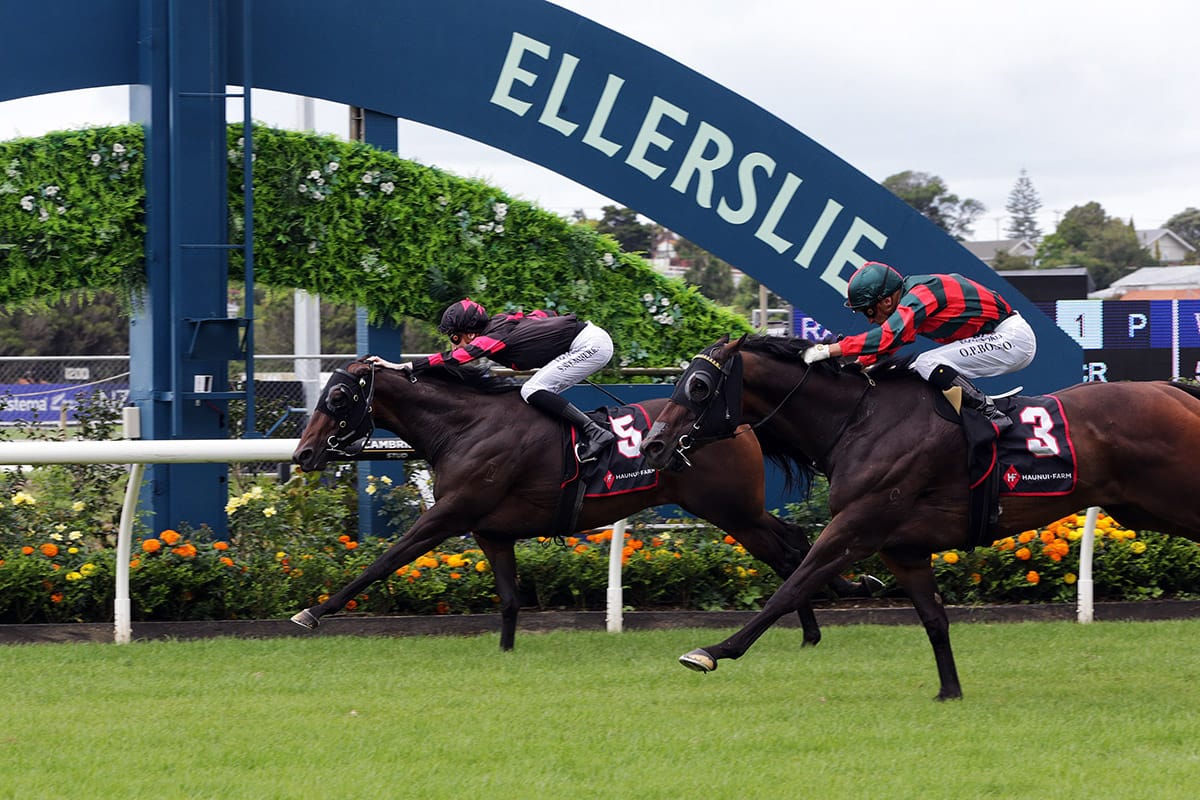 Marina Farina hits top gear in King’s Plate