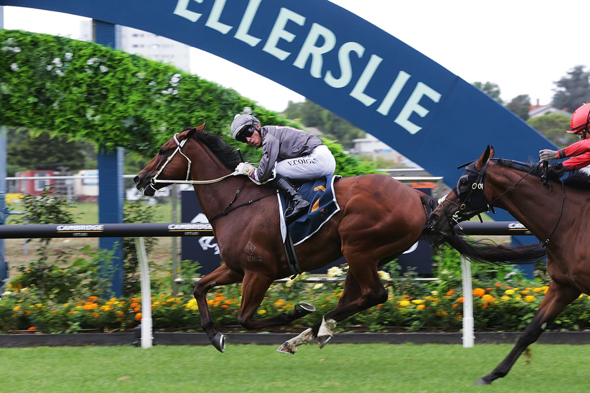 Ormsby drawing on family inspiration into Newmarket