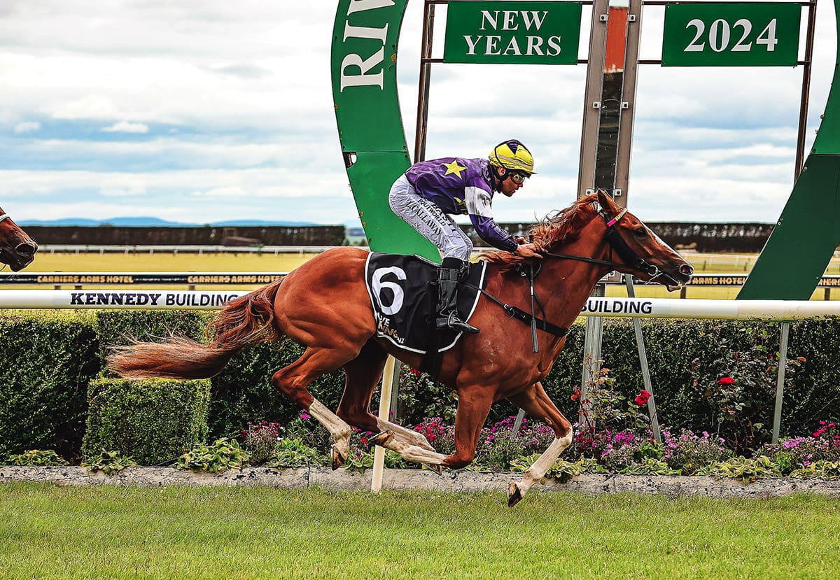 Future looks bright for Riviera Rebel