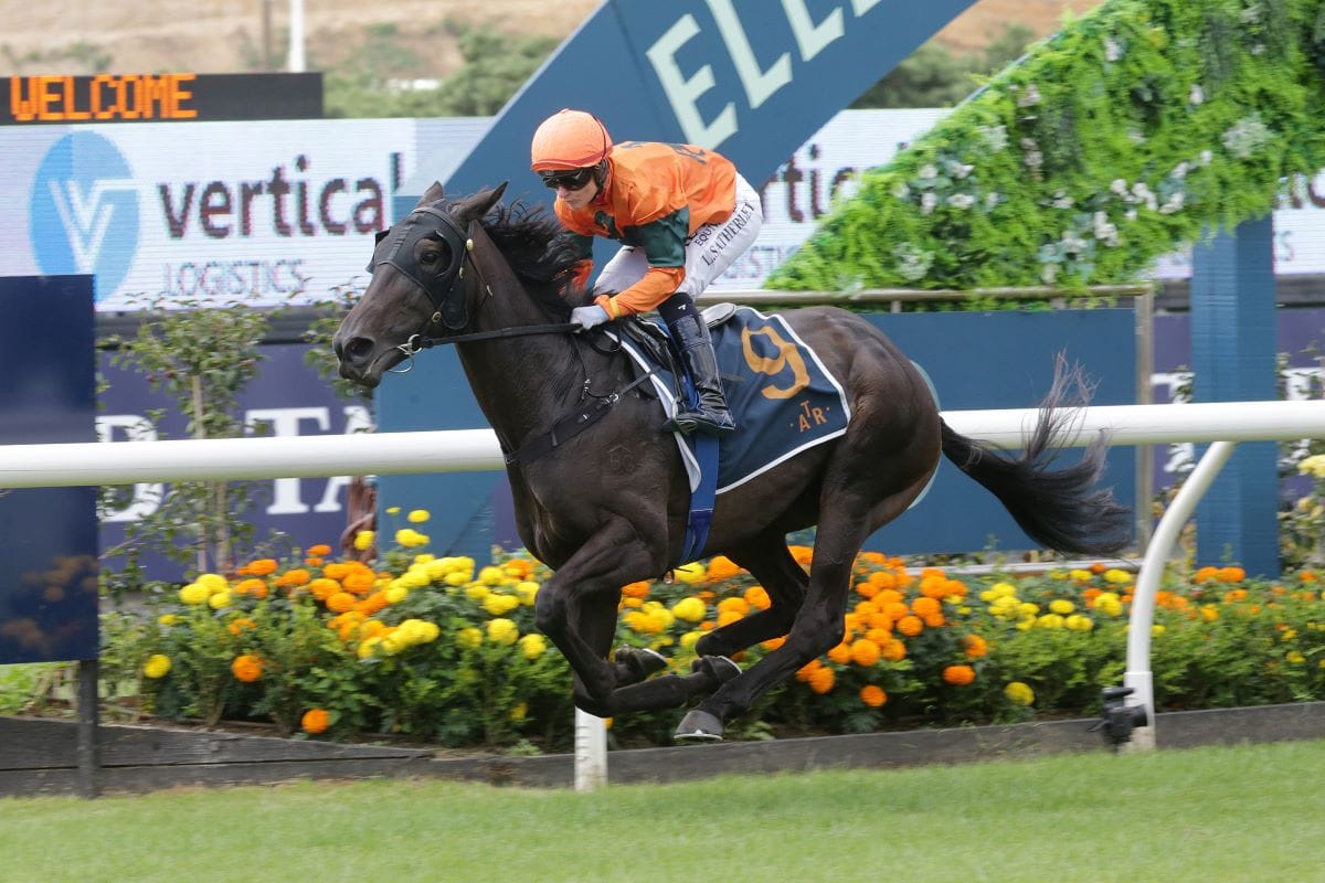 Satherley gets another underrated stayer into Cup