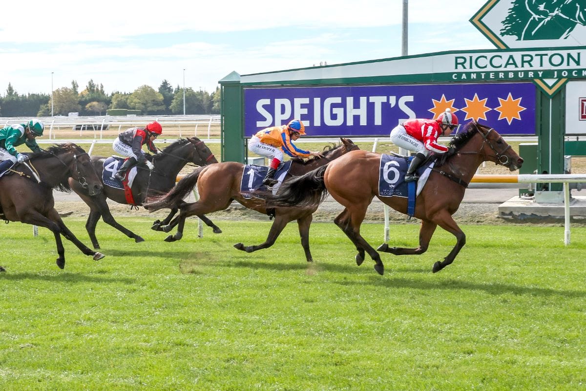 Mystic Park wins tough test at Riccarton