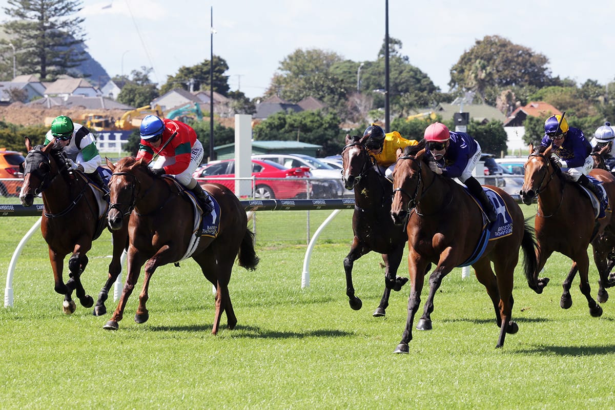 Options aplenty for Ellerslie winner
